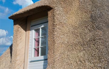 Kingstone thatch roof disadvantages
