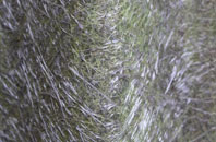 Kingstone fibreglass roof work